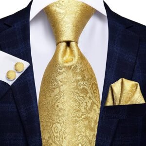 Mens Plaid Ties Classic Paisley Necktie with Handkerchief Cufflinks Set Business Stripe Tie
